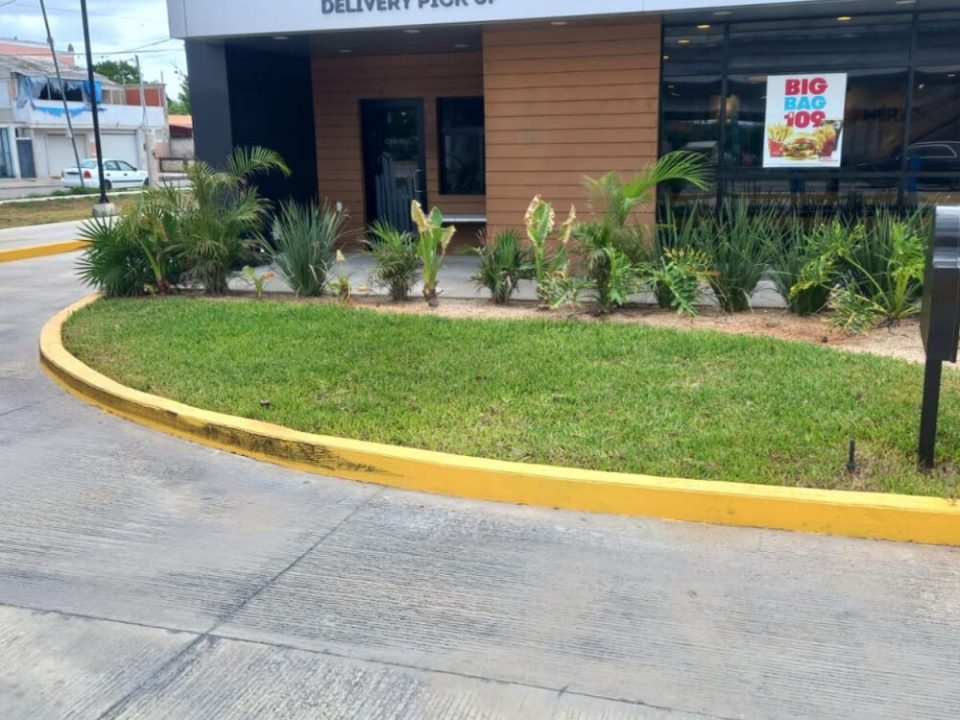 Paisajismo de acceso y camellón en desarrollo