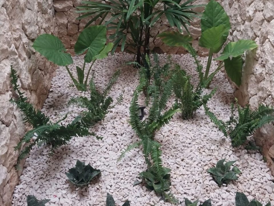 Diseño de jardín con grava y plantas
