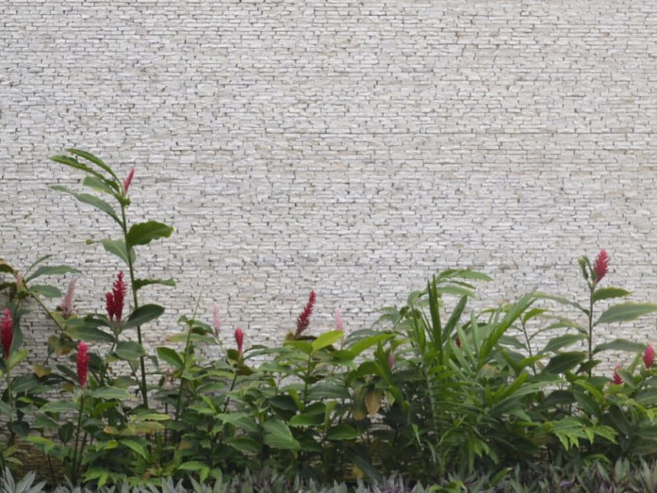 Cama de flores en jardín de Mérida