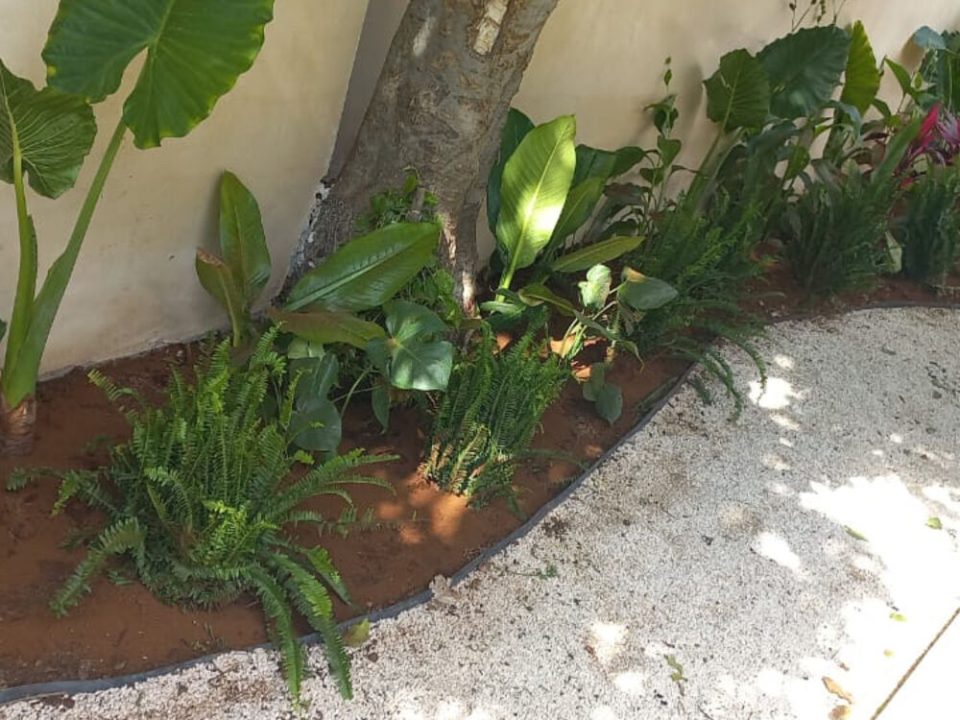 Borde florido a lo largo de barda